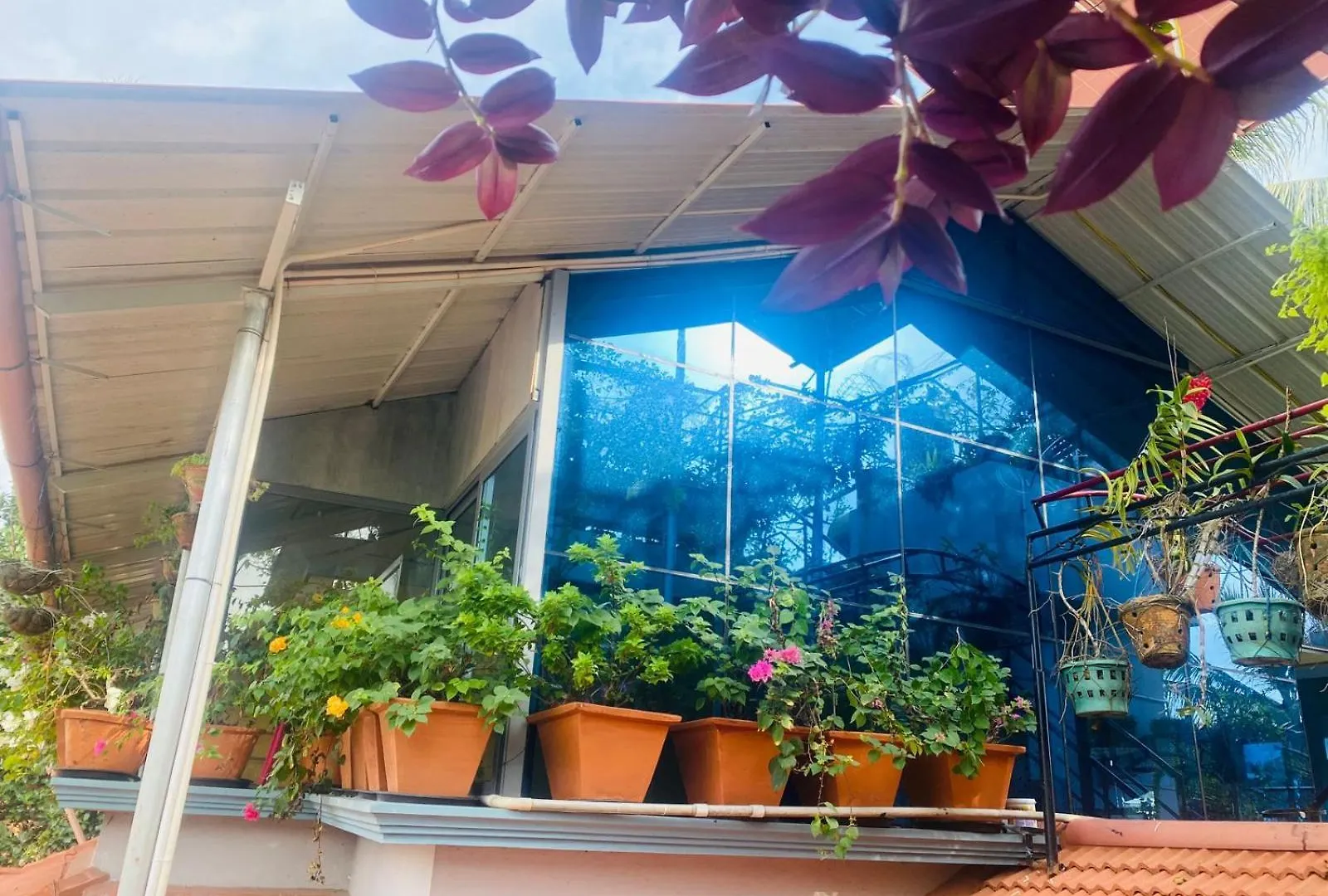 Homestay - Heaven Aumgarden Thiruvananthapuram Inde